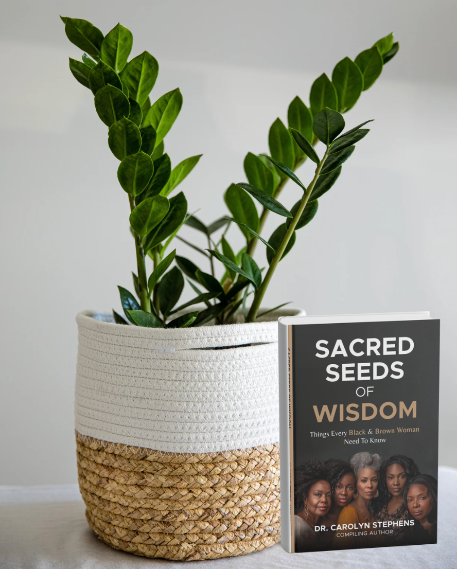 Scared Seeds of Wisdom-2025 Distinguished Authors Guild Award Winner – Best Inspirational Book